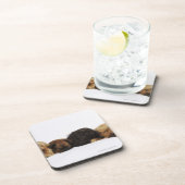 Drie Pekingese honden en één pug liggen neer Bier Onderzetter (Rechterzijde)