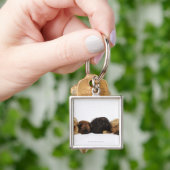Drie Pekingese honden en één pug liggen neer Sleutelhanger (Hand)