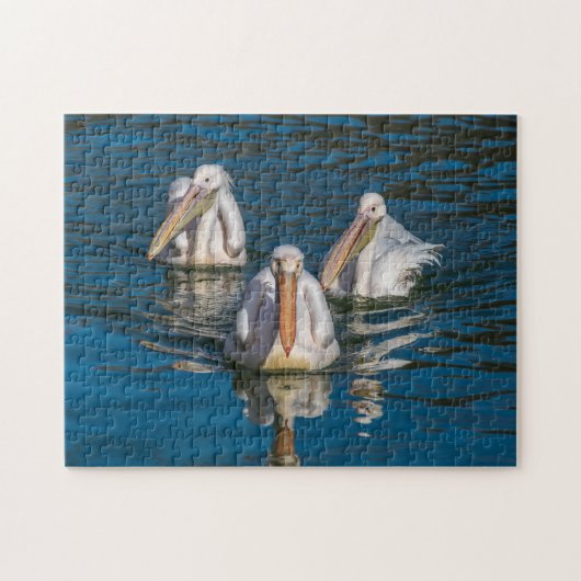 Drie pelikaanse puzzel (Horizontaal)
