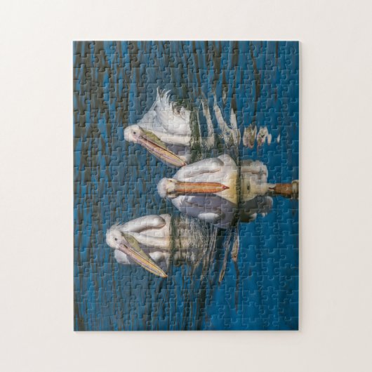 Drie pelikaanse puzzel (Verticaal)