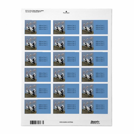 Drie Pelikanen Foto Adreslabel Etiket (Full Sheet)