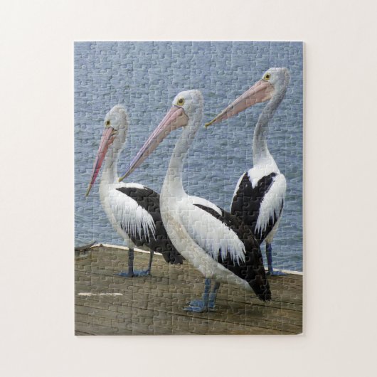 Drie pelikanen op een steiger Foto Puzzel (Verticaal)