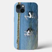 Drie Pelikanen zwemmen, iPhone 13 Hoesje (Achterkant)