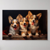 Drie Pembroke Welsh Corgis Poster (Voorkant)