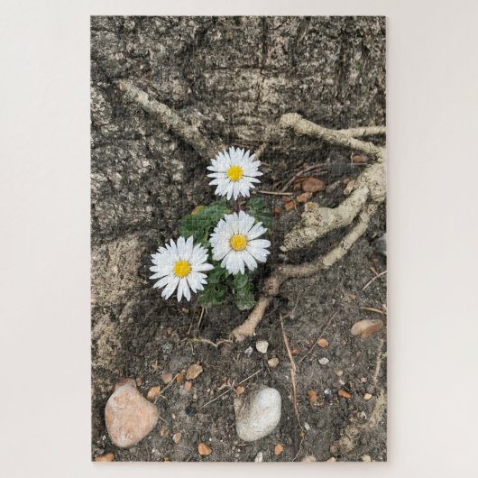 Drie perfecte Daisies tegen een boomstam Legpuzzel (Verticaal)