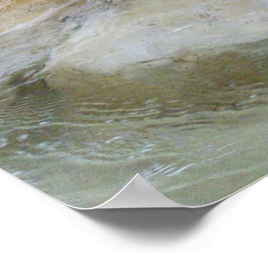 Drie Permanente Otters, Poster (Hoek)