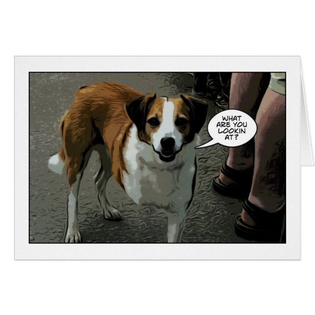 drie peulhonden (Voorkant Horizontaal)