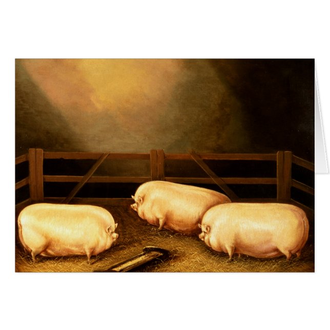 Drie Pigs buiten een Sty (Voorkant Horizontaal)