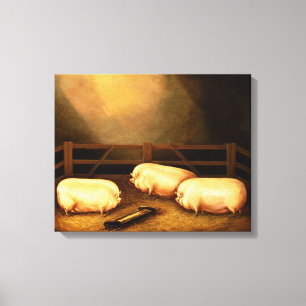 Drie Pigs buiten een Sty Canvas Afdruk