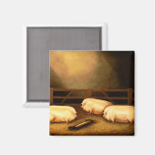Drie Pigs buiten een Sty Magneet (Voorkant / Achterkant)
