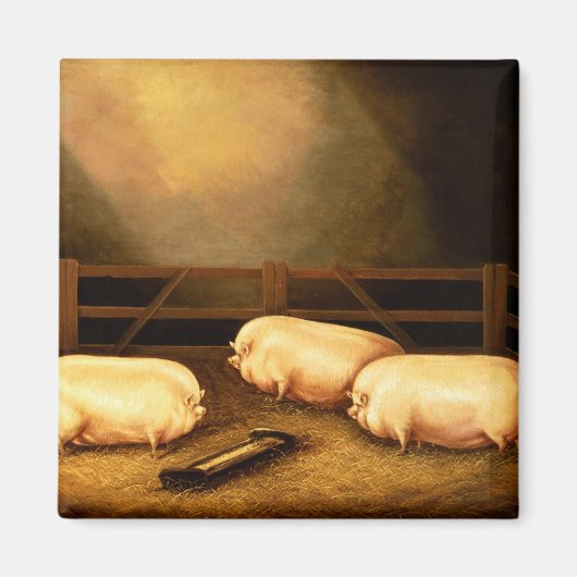 Drie Pigs buiten een Sty Magneet (Voorkant)