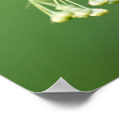 drie pijlers voor de zetmeelindustrie op molenroos poster (Hoek)