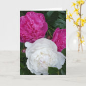 Drie pinda's kaart (Gele Bloem)