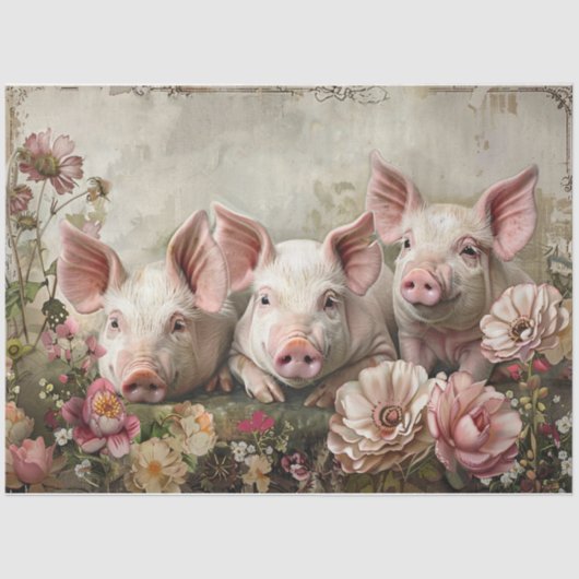 Drie Pinky Pigs Tissuepapier (Voorkant)