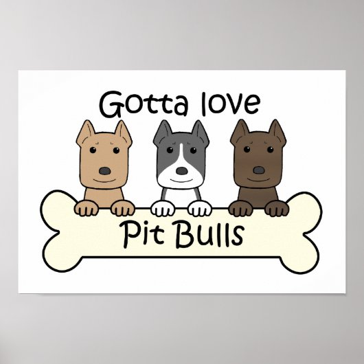 Drie pitbulten poster (Voorkant)