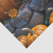 Drie pluizige herfst Kittens met pompoenen en mama Tissuepapier (Detail)