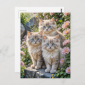 Drie pluizige Kittens in roze bloemen Briefkaart (Voorkant / Achterkant)