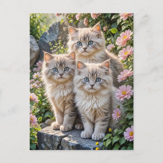 Drie pluizige Kittens in roze bloemen Briefkaart (Voorkant)