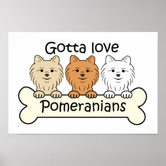 Drie Pomeraniërs Poster (Voorkant)