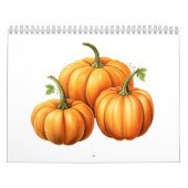 drie pompoenen kalender (Hoes)