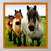 Drie Ponies Poster (Voorkant)