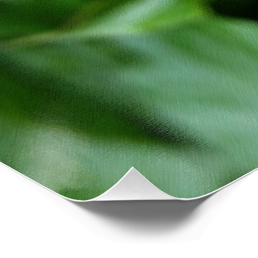 Drie pony-knoppen poster (Hoek)