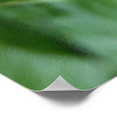 Drie pony-knoppen poster (Hoek)