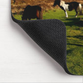 Drie pony's op Dartmoor Muismat (Hoek)