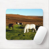 Drie pony's op Dartmoor Muismat (Met muis)