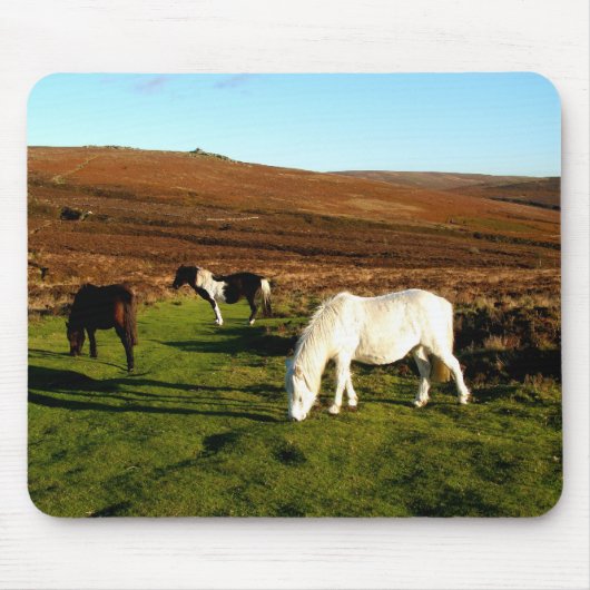 Drie pony's op Dartmoor Muismat (Voorkant)