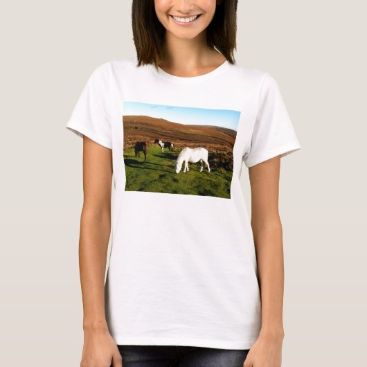 Drie pony's op Dartmoor T-shirt (Voorkant)