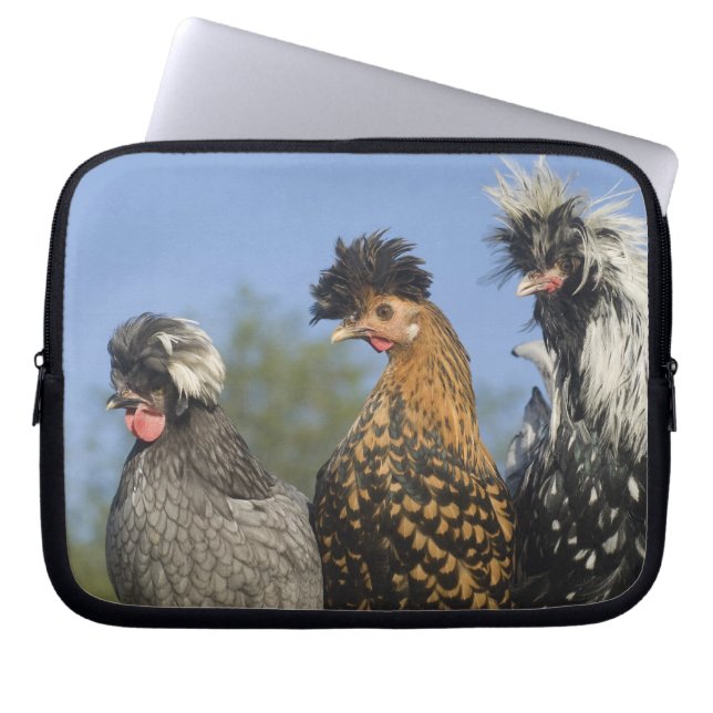 Drie Poolse kippen - Laptop Sleeve (Voorkant)