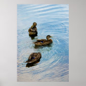 Drie Poster (Voorkant)
