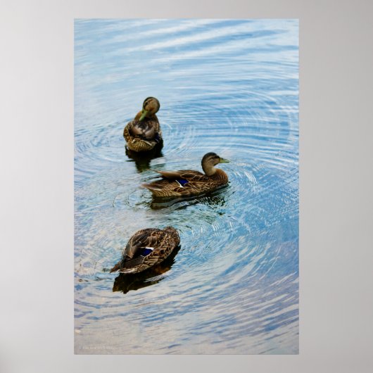 Drie Poster (Voorkant)