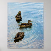Drie Poster (Voorkant)