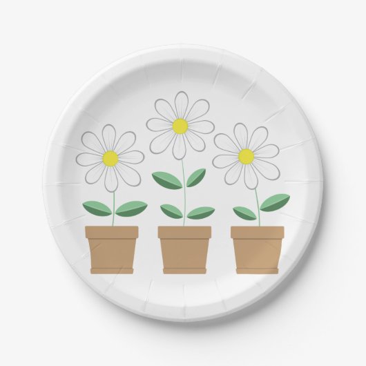 Drie Potted Daisies Papieren Bordje (Voorkant)