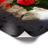 Drie potten van Geraniums op Windows Poster (Hoek)