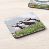 Drie Puffins Drankjes Onderzetter (Linkerzijde)