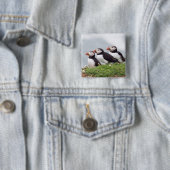Drie Puffins Vierkante Button 5,1 Cm (In situ)