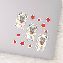 Drie pug-honden