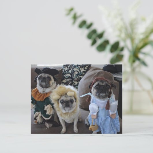 Drie pugs gekleed voor Halloween Briefkaart (Staand voorkant)
