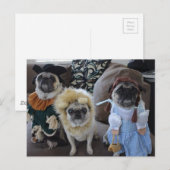 Drie pugs gekleed voor Halloween Briefkaart (Voorkant / Achterkant)