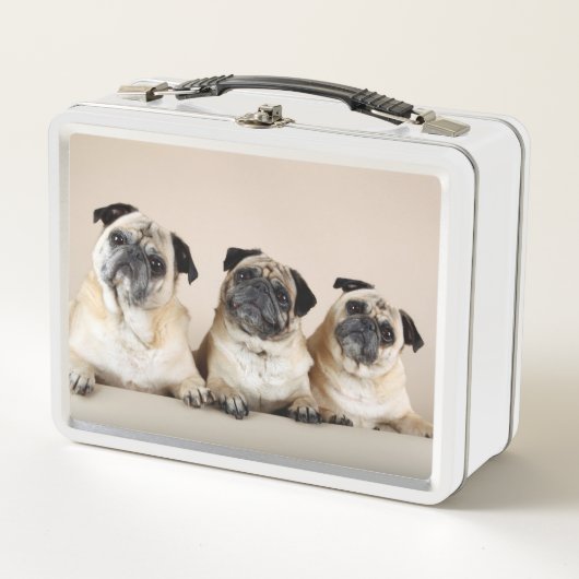 Drie pugs in rij (Voorkant)