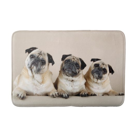 Drie pugs in rij badmat (Voorkant)