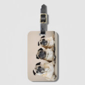 Drie pugs in rij bagagelabel (Voorkant (verticaal))