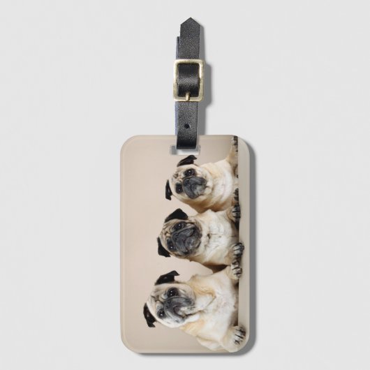 Drie pugs in rij bagagelabel (Voorkant (verticaal))