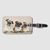 Drie pugs in rij bagagelabel (Voorkant (horizontaal))