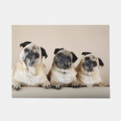 Drie pugs in rij deurmat (Voorkant)