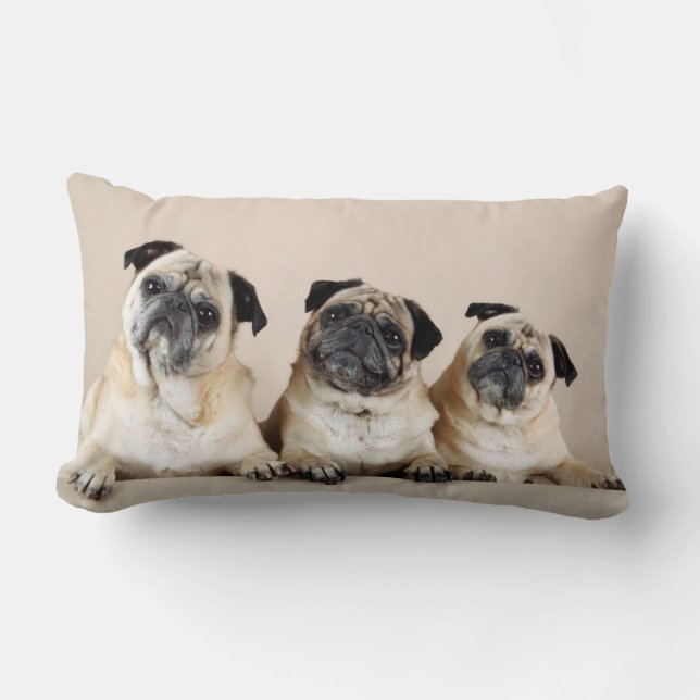Drie pugs in rij kussen (Voorkant)