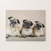 Drie pugs in rij legpuzzel (Horizontaal)